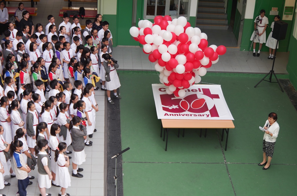 IMGP5653.jpg