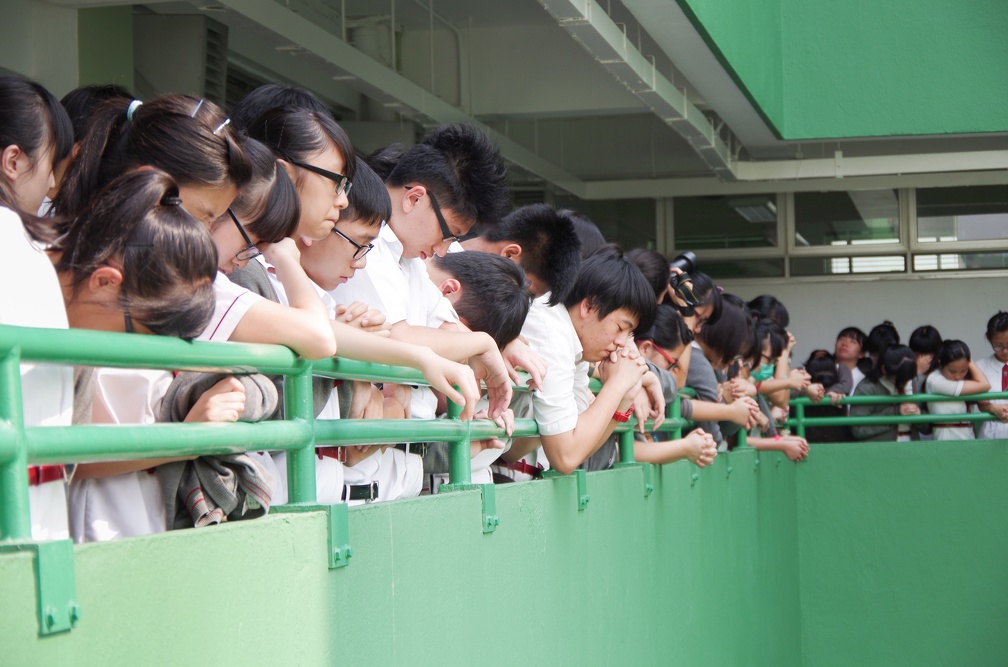 IMGP5687.jpg