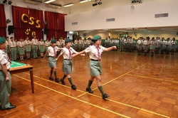 IMG 8437