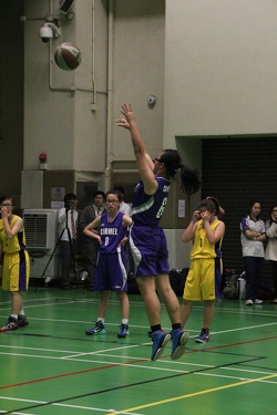 IMG 4855