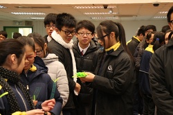 IMG 7106