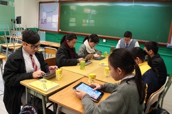IMG 7457