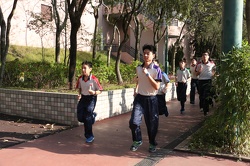IMG 9957