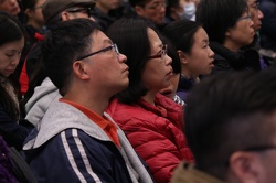 IMG 8482