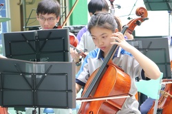 IMG 9716