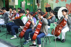 Orchestra Lunch Concert