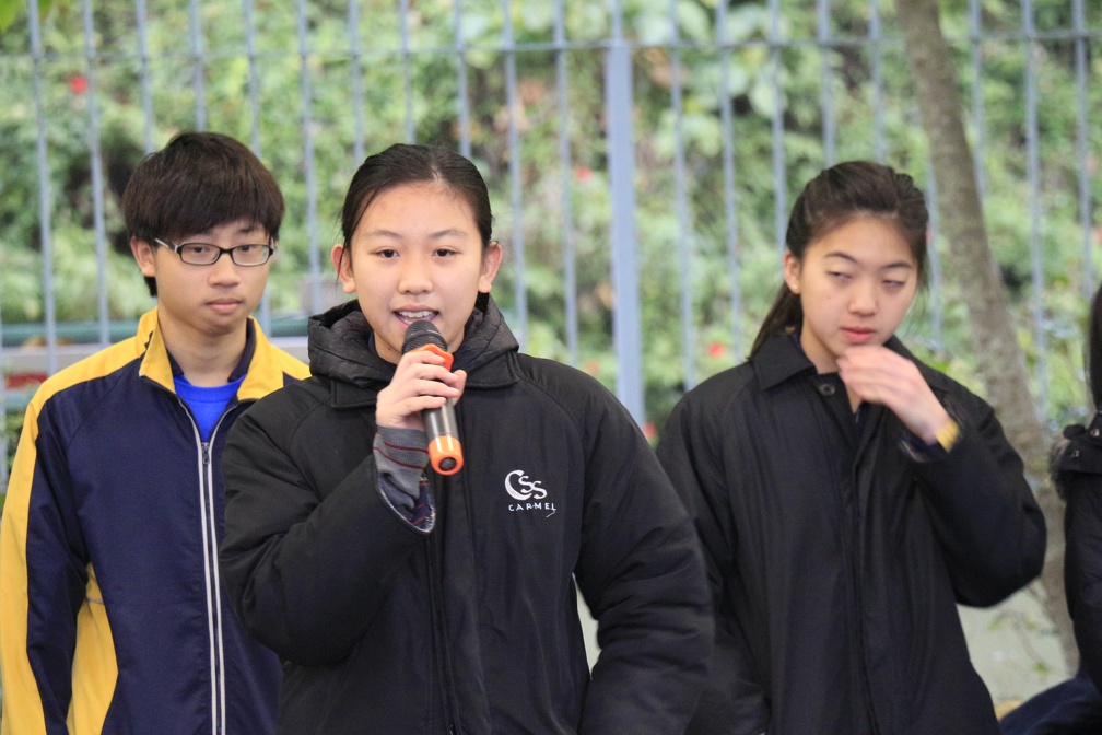 _MG_2385.JPG