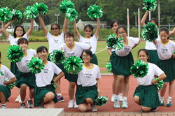 IMG 9950