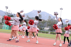 2018-2019