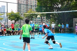 8IMG 0495