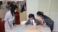 IMG 7057