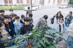 DSC00009