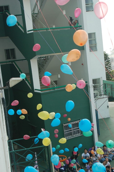abf.jpg