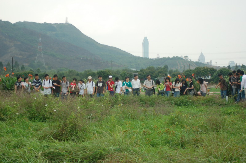 abn.jpg