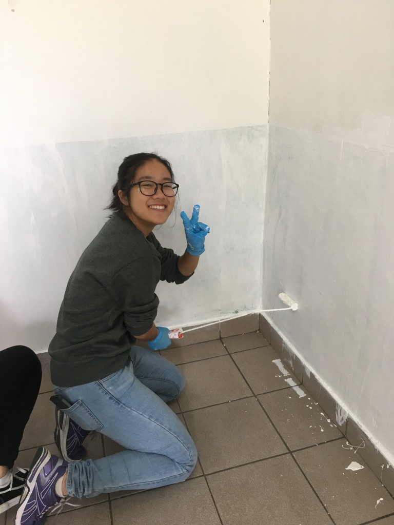 Student Union executives are painting the walls of their office